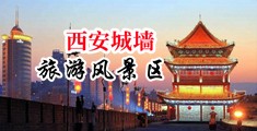 大鸡巴干女县长中国陕西-西安城墙旅游风景区