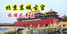 骚货吃阴茎视频中国北京-东城古宫旅游风景区